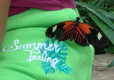 Hosenschmetterling